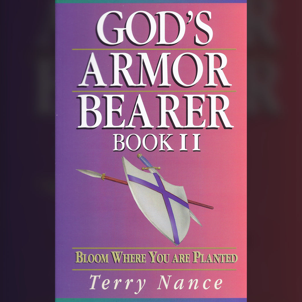God's Armor Bearer Book II