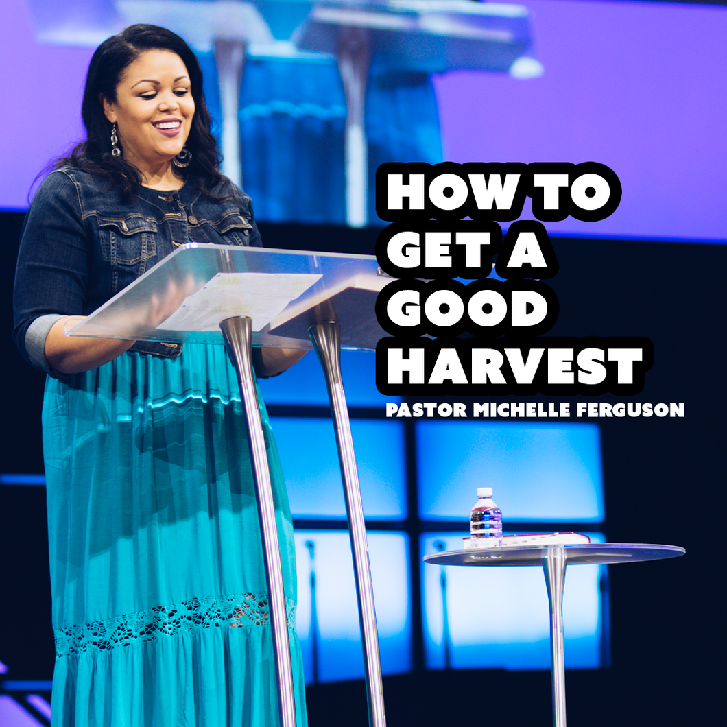 How to Get a Good Harvest