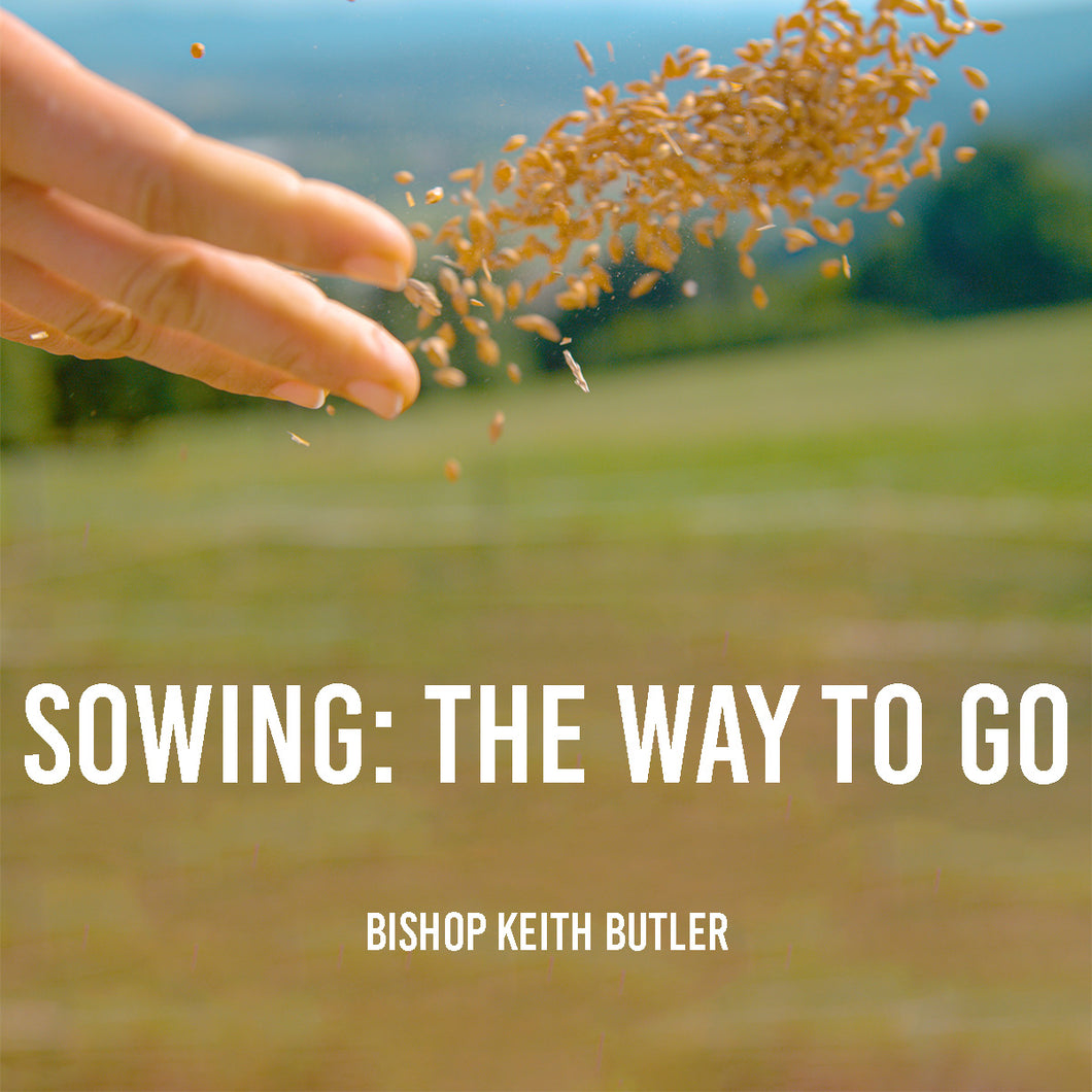 Sowing - The Way to Go