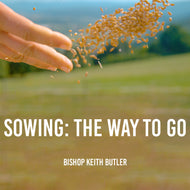 Sowing - The Way to Go