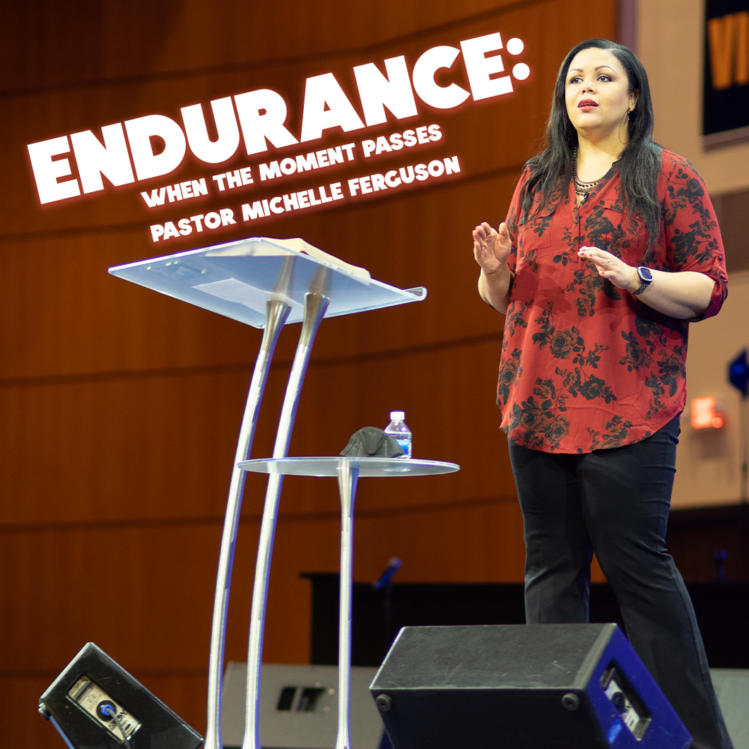 Endurance: When The Moment Passes